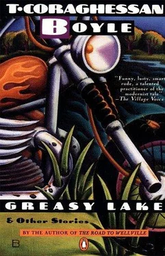 T. Boyle Greasy Lake and Other Stories обложка книги