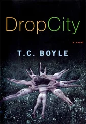 T. Boyle - Drop City