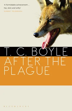 T. Boyle After the Plague обложка книги