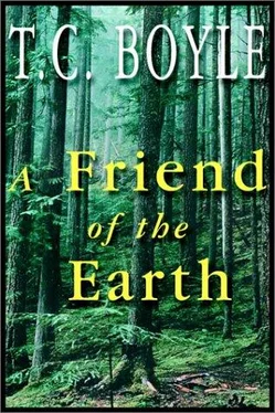 T. Boyle A Friend of the Earth обложка книги