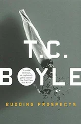 T. Boyle - Budding Prospects