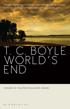 T. Boyle World's End обложка книги