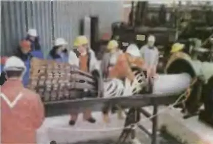 1998 год Московская область г Луховицы Диаскан Загрузка диагностического - фото 10