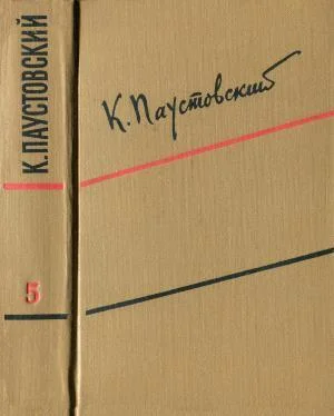 Константин Паустовский Том 5. Рассказы, сказки, литературные портреты обложка книги