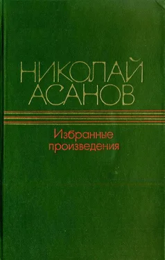 Николай Асанов Волшебный камень обложка книги