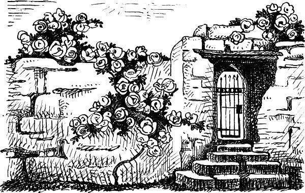 1 Я ломаю слоистые скалы В час отлива на илистом дне И таскает осел мой - фото 24