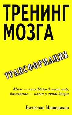 Вячеслав Мещеряков Тренинг мозга. Действенный метод трансформации сознания обложка книги