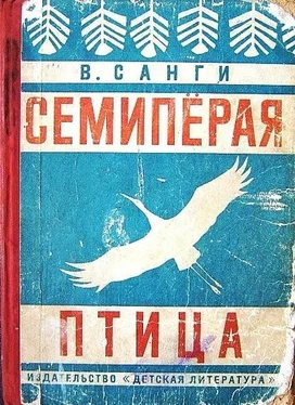 Владимир Санги Семипёрая птица обложка книги