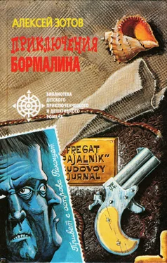 Алексей Зотов Приключения Бормалина обложка книги