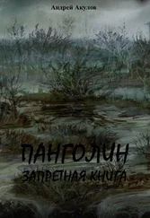 Андрей Акулов - Панголин. Запретная книга(СИ)