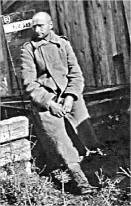 Генерал из трясины Судьба и история Андрея Власова Анатомия предательства - фото 37