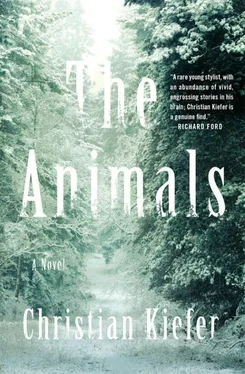 Christian Kiefer The Animals обложка книги