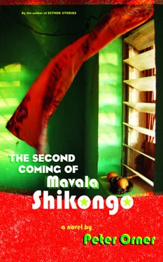 Peter Orner The Second Coming of Mavala Shikongo обложка книги