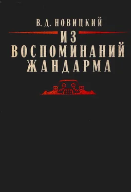 Василий Новицкий Из воспоминаний жандарма обложка книги