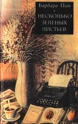Барбара Пим - Несколько зеленых листьев