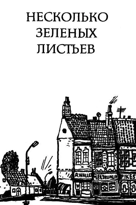 Кто же она Барбара Пим Фотоискусство честно смотрит вдаль День тусклый - фото 1