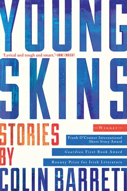 Colin Barrett Young Skins: Stories обложка книги