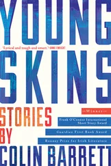 Colin Barrett - Young Skins - Stories