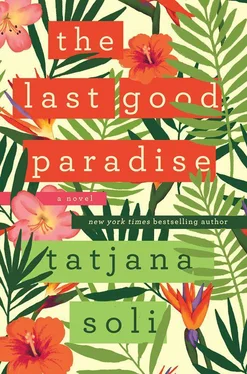 Tatjana Soli The Last Good Paradise обложка книги