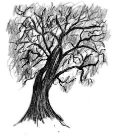 Marie was forbidden to go to the ceremonies deep in the forest She lay nights - фото 3