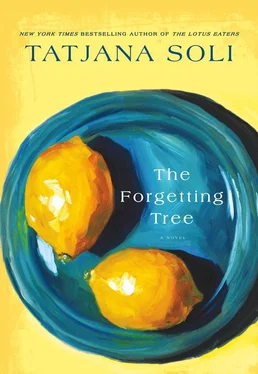 Tatjana Soli The Forgetting Tree обложка книги