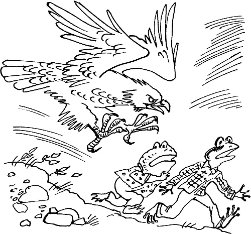 Frog jumped over rocks and Toad jumped behind him They came to a dark cave A - фото 3