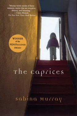 Sabina Murray The Caprices обложка книги
