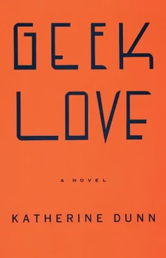 Katherine Dunn Geek Love обложка книги