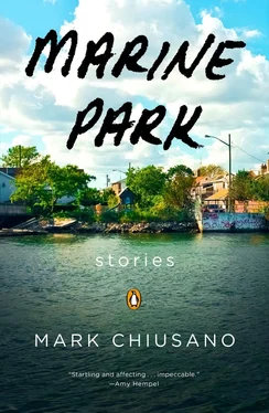 Mark Chiusano Marine Park: Stories обложка книги