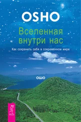 Бхагаван Раджниш (Ошо) - Вселенная внутри нас. Как сохранить себя в современном мире