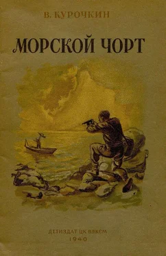 Владимир Курочкин Морской Чорт обложка книги