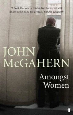 John McGahern Amongst Women обложка книги