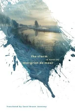 Margriet de Moor The Storm обложка книги