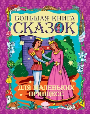 Галина Шалаева Большая книга сказок для маленьких принцесс обложка книги