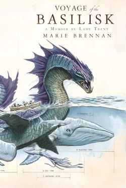 Marie Brennan Voyage of the Basilisk обложка книги