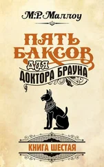 М. Маллоу - Пять баксов для доктора Брауна. Книга 6