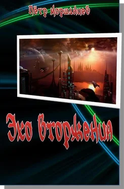 Пётр Моршанцев Эхо вторжения обложка книги