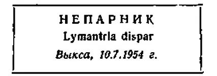 Если вы не знаете латинского названия бабочки то поставьте одно русское - фото 56