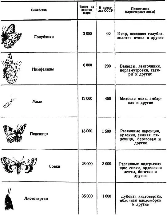 1 Красивая 2 Эндемик животное или растение присущее лишь одной области - фото 58