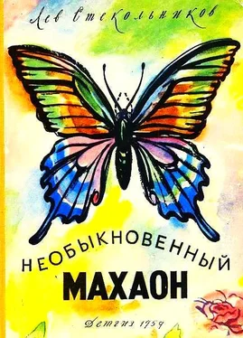 Лев Стекольников Необыкновенный махаон обложка книги