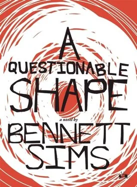 Bennett Sims A Questionable Shape обложка книги