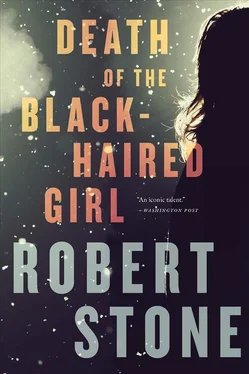 Robert Stone Death of the Black-Haired Girl обложка книги