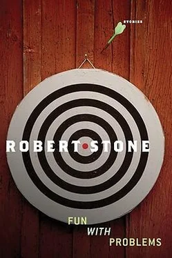 Robert Stone Fun With Problems обложка книги