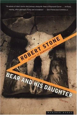 Robert Stone Bear and His Daughter обложка книги