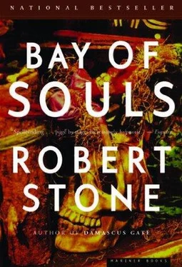 Robert Stone Bay of Souls обложка книги