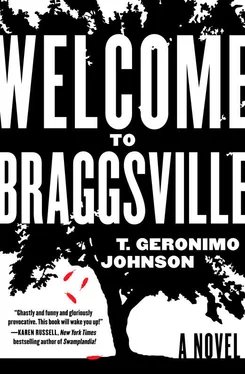 T. Johnson Welcome to Braggsville обложка книги