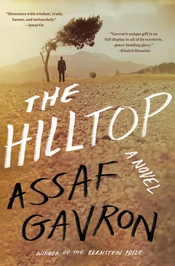 Assaf Gavron The Hilltop обложка книги