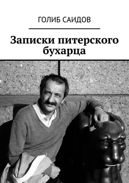 Голиб Саидов Записки питерского бухарца обложка книги