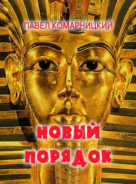 Павел Комарницкий Новый порядок обложка книги