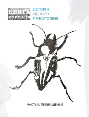 Александр Фурман Книга Фурмана. История одного присутствия. Часть II. Превращение обложка книги